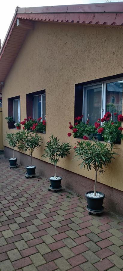 Apartmán Cazare Buzău Exteriér fotografie